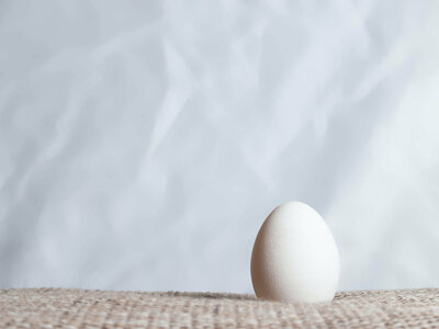 a white egg